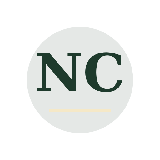 Nomo Chimney Repair logo